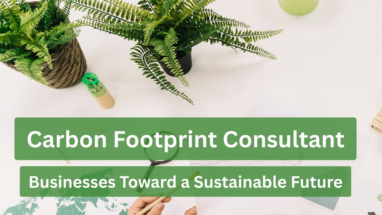 Carbon Footprint Consultant